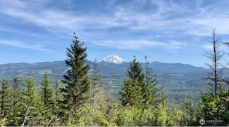 464 XX 303rd Ave SE, Enumclaw, WA 98022