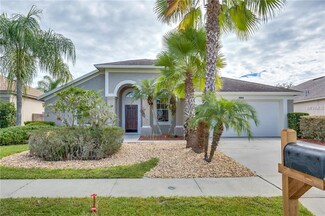 18005 Misty Blue Ln, Tampa, FL 33647