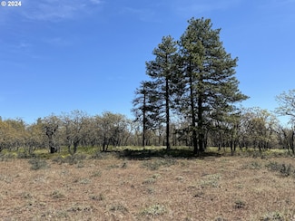 0 D Pine Rd Unit 24055413, Goldendale, WA 98620