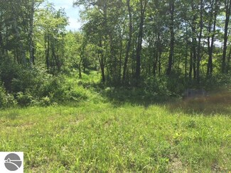 10625 20th Ave, Remus, MI 49340
