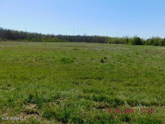 14243 Stockade Dr, Olive Branch, MS 38654