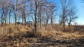 TBD 740th Ave, Le Roy Township, MN 55951