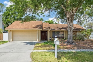 12606 Rain Forest St, Temple Terrace, FL 33617