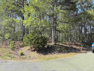 30 Lindo Ln, Hot Springs Village, AR 71909