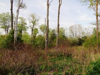 0 Robin Rd, Saint Marys, PA 15857