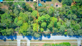 12638 Linden Dr, Spring Hill, FL 34609