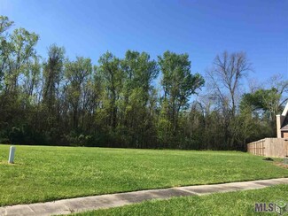 14307 Bluff Pass Dr, Prairieville, LA 70769