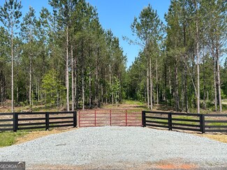 0 Dewey Thomas Rd Unit LOT 14 10311323, Dexter, GA 31019