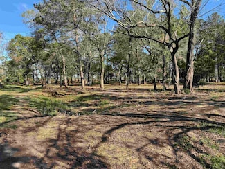 13205 S Fork Dr, Hamshire, TX 77622