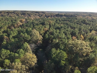 0 Perry Creek Unit 4131483, Bentonia, MS 39040