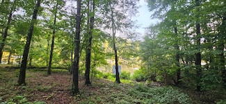 LOT 3 Shelby Shores, Crane Hill, AL 35053