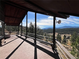 160 S Circle Dr, Bailey, CO 80421