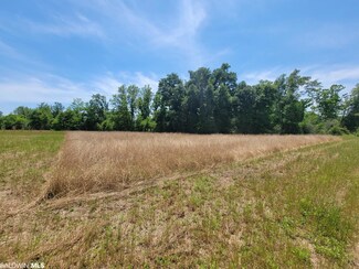 0 Back Forty Ln Unit 345528, Foley, AL 36535
