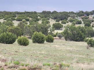 95 Woodlands Dr, Edgewood, NM 87059