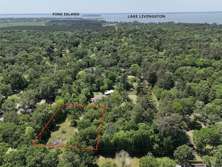 303 Raven, West Livingston, TX 77351