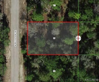 6493 N Matheson Dr, Pine Ridge, FL 34434