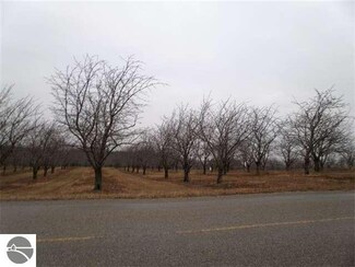 0 Lee Mann Rd Unit 9 1732198, Northport, MI 49670