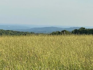 0 Stump Pond Rd, Callicoon, NY 12724