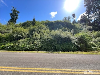 0 Grays Harbor Blvd, Hoquiam, WA 98550
