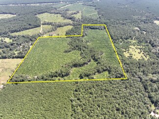 2 Tree Monkey Rd, Ace, TX 77351