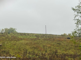 Tract 2&3 Bearwallow Rd, Springfield, KY 40069
