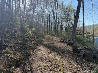 Lot 5 Quail Hollow, Franklin, NC 28734