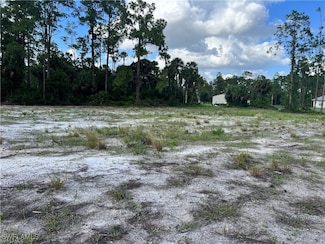 1200 Scott Ave, Lehigh Acres, FL 33972