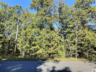 00 Dunbar Rd Lot 250 & 251, New Concord, KY 42076