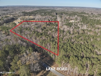 0 Lake Rd Unit 4099528, Pelahatchie, MS 39145