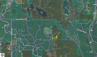 5124 Blue Lake Rd NE, Kalkaska, MI 49646