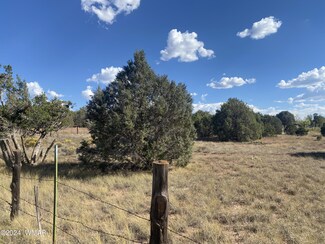 2146 Copper Rd, Clay Springs, AZ 85923