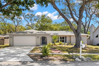 914 Woodland Dr, Palm Harbor, FL 34683
