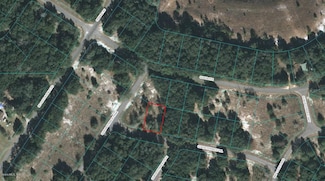 00 Guava Terrace Trail, Ocklawaha, FL 32179
