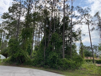 10 Ripton Place, Palm Coast, FL 32164