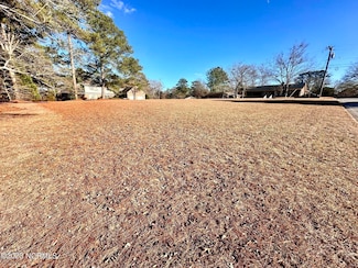 203 E Vance St, Williamston, NC 27892