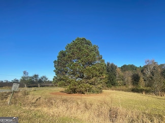 0 Jeannette St, Unadilla, GA 31091