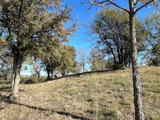 2010 Hidden Bluff Dr, Aledo, TX 76008