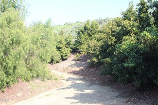 221 S Mountain Rd, Santa Paula, CA 93060