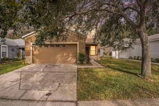 10438 Blackmore Dr, Tampa, FL 33647