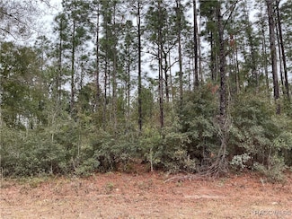 436 W Cara Ln, Citrus Springs, FL 34434