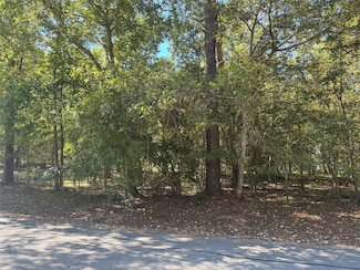 176 N Fairway Loop, Coldspring, TX 77331