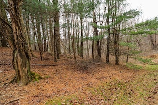 Lot 67 Southern View Trail, Fancy Gap, VA 24328