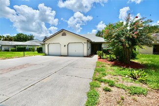 9816 E Pebble Creek Ct, Inverness, FL 34450