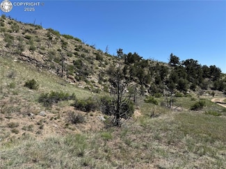 TR-29 County Road 18x, Cotopaxi, CO 81223