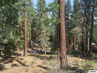 202 S Meadow Rd, Glenbrook, NV 89413