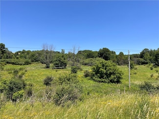 0 Yocum Rd, Wayland, NY 14572