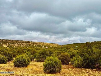 TBD Co Rd 8256 Lot A 5 Acres --, Concho, AZ 85924