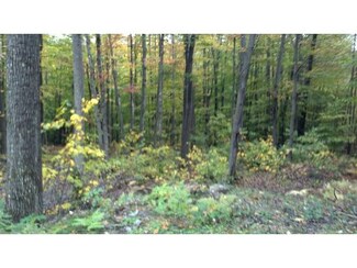 Lot 88 Dodge Rd, Groton, NH 03241