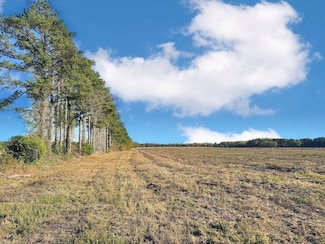 0 Tbd Mike Rogers Farm Rd Unit LotWP05B, Clio, SC 29525