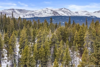 0 Beaver Creek Rd Unit REC9026847, Alma, CO 80420